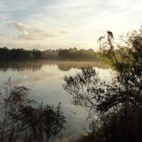 A pond in a preserve near me