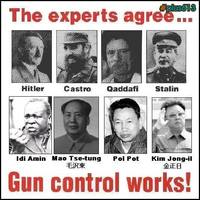 Gun Control Works
