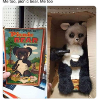 Realistic picnic bear