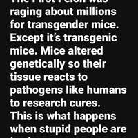 tRaNsGeNdEr MiCe