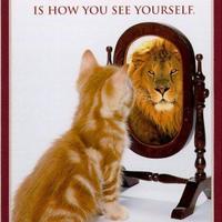 SEE YOUR SELF