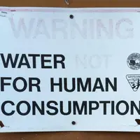 Drink up