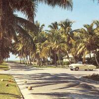 Naples, Florida 1950's