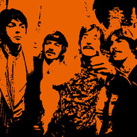 Orange Beatles