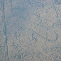 Wood drawings, airplane view of landing in Rome (Lazio, Italy 2005)