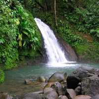 Lovely Waterfall in... Guadelope!