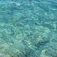 Giannutri Island, sea water 5 (Touscany, Italy, 2004)