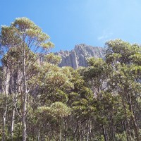 Tasmania 3