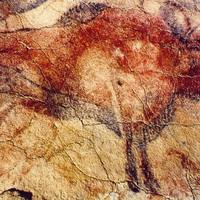 Cave painting - Bison