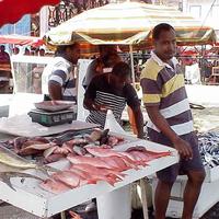 Fish Market on Guadelope