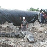 Dangers of working with pipes in Mexico1