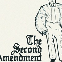 the Right to Bear Arms