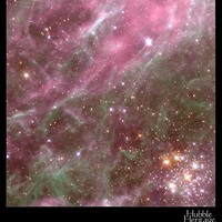 tarantula nebula