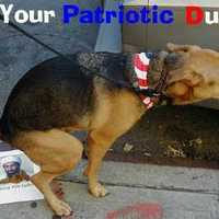 Do your patriotic duty