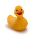 A cute little rubber ducky!
