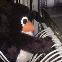 Evil penguin rewires the Net