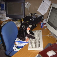 Evil penguin doing technical support
