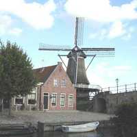 Windmill (Bockzjl NL)