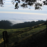 Tam with Fog Rolling in