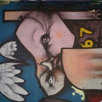 face this
