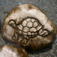 Turtle rock