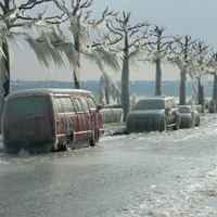 snap frozen cars
