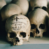 my skull collection