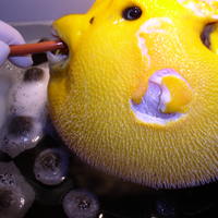 The puffer who puffed during surgery.