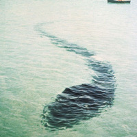 Hook Island Sea Serpent