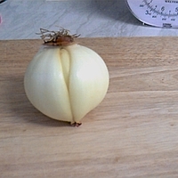 Suggestive onion?