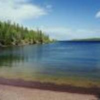 Drinking Water at Isle Royale National Park
