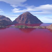 water turns blood red