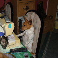 Best sewing dog in the damn world