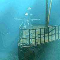 Latest Titanic pictures