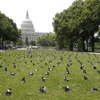 Boots of the fallen in DC that Bush does not respect