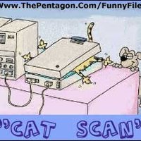 cat scan