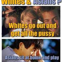 Whats the difference between Whites and Asians
