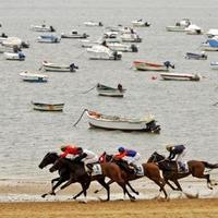 Horse race on beach (Spain 2005)