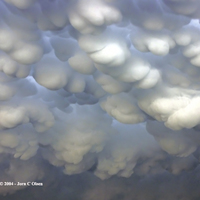 "Mammatus" clouds 02