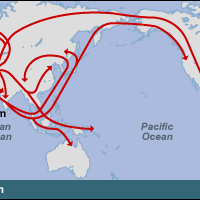 Historical Human Migration Routes