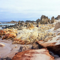 West Coast of Tasmania (Australia) #1