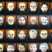 Races (Museo Antropologico Mexico City 2005)