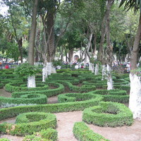 A garden in Coyacan, Mexico City 2005