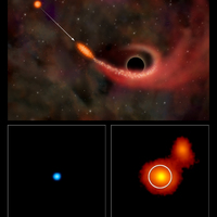 Giant Black Hole Rips Star Apart