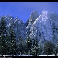 cathedral rock yosimite