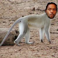 monkeyman