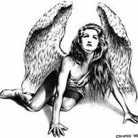 angel cyndi