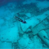 Freediver over an airplane wreck in the Bahamas