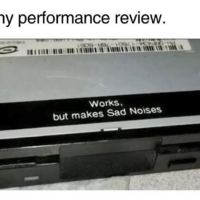 Got my performance review