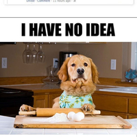 Dog spends too much time baking